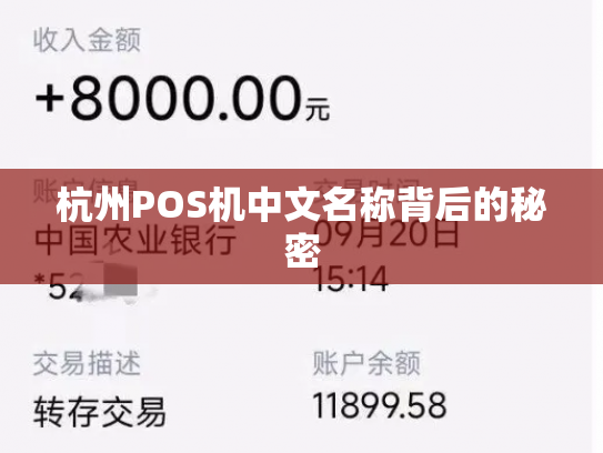 杭州POS机中文名称背后的秘密