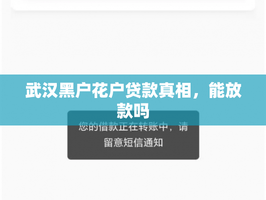 武汉黑户花户贷款真相，能放款吗