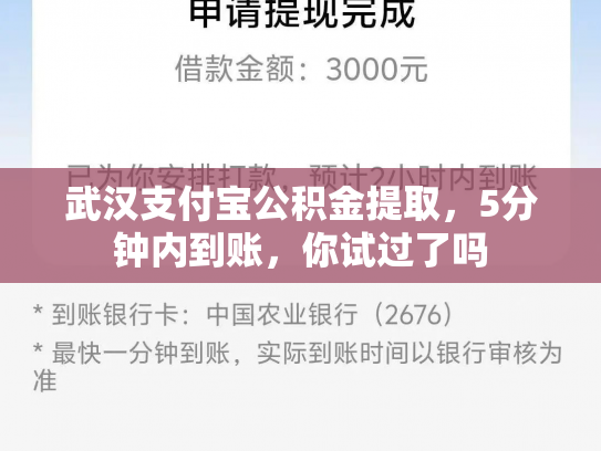 武汉支付宝公积金提取，5分钟内到账，你试过了吗