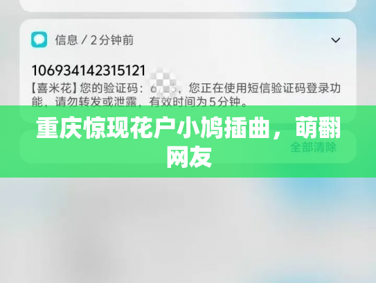 重庆惊现花户小鸠插曲，萌翻网友