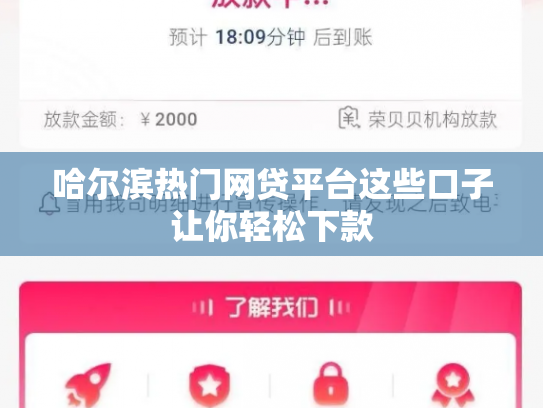 哈尔滨热门网贷平台这些口子让你轻松下款