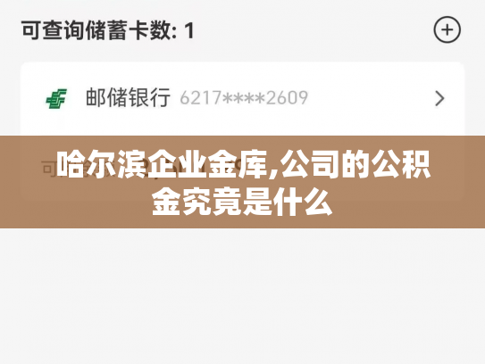哈尔滨企业金库,公司的公积金究竟是什么