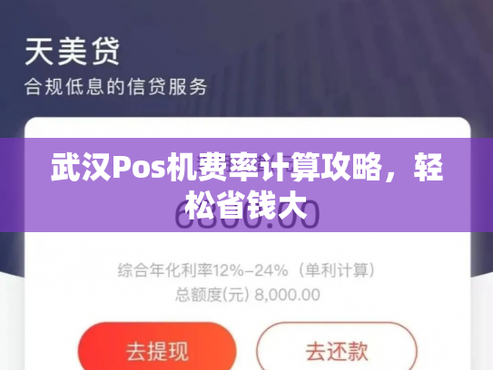 武汉Pos机费率计算攻略,轻松省钱大