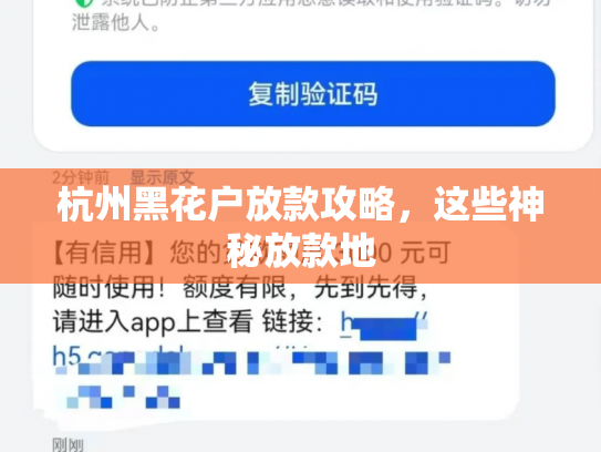 杭州黑花户放款攻略，这些神秘放款地