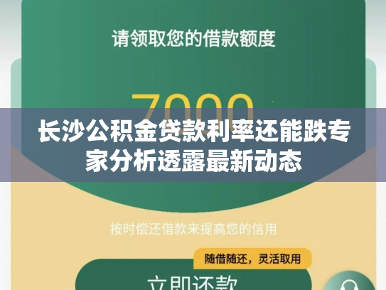 长沙公积金贷款利率还能跌专家分析透露最新动态