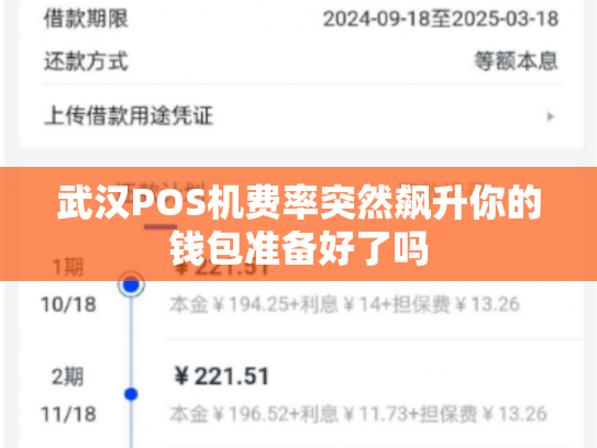 武汉POS机费率突然飙升你的钱包准备好了吗