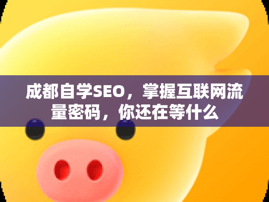 成都自学SEO，掌握互联网流量密码，你还在等什么