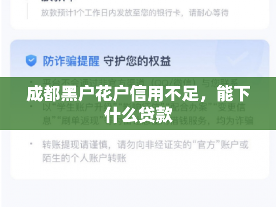 成都黑户花户信用不足，能下什么贷款