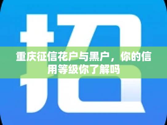 重庆征信花户与黑户，你的信用等级你了解吗