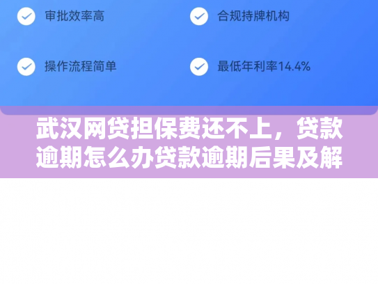 武汉网贷担保费还不上，贷款逾期怎么办贷款逾期后果及解决方法