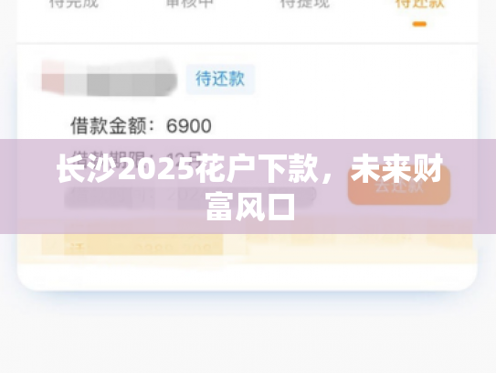 长沙2025花户下款，未来财富风口