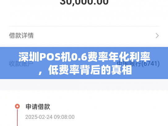 深圳POS机0.6费率年化利率，低费率背后的真相