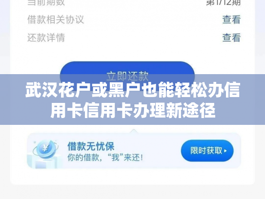 武汉花户或黑户也能轻松办信用卡信用卡办理新途径