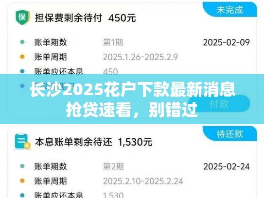 长沙2025花户下款最新消息抢贷速看，别错过