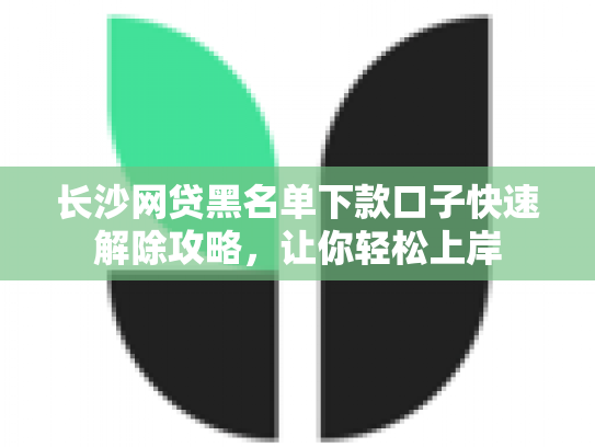 长沙网贷黑名单下款口子快速解除攻略，让你轻松上岸