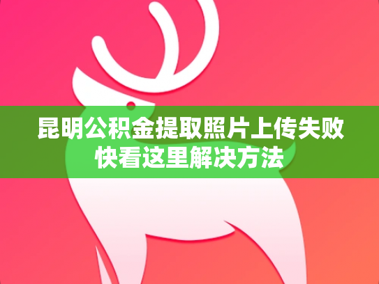 昆明公积金提取照片上传失败快看这里解决方法