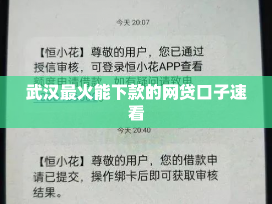武汉最火能下款的网贷口子速看