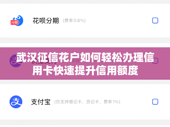 武汉征信花户如何轻松办理信用卡快速提升信用额度