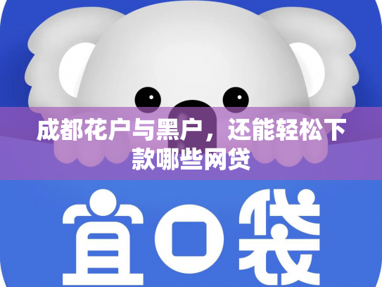 成都花户与黑户，还能轻松下款哪些网贷