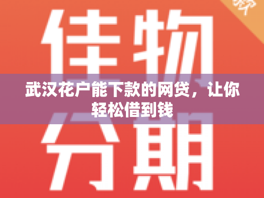 武汉花户能下款的网贷，让你轻松借到钱