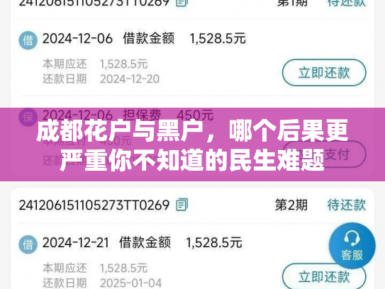 成都花户与黑户，哪个后果更严重你不知道的民生难题