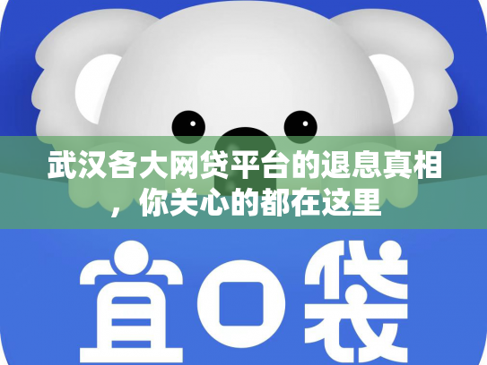 武汉各大网贷平台的退息真相，你关心的都在这里