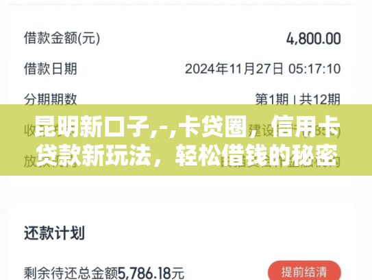 昆明新口子,-,卡贷圈，信用卡贷款新玩法，轻松借钱的秘密