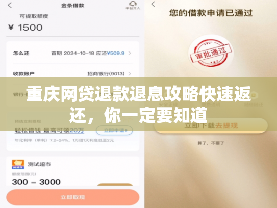 重庆网贷退款退息攻略快速返还，你一定要知道