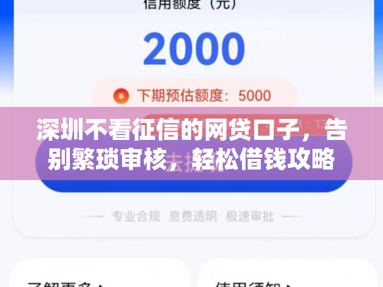 深圳不看征信的网贷口子，告别繁琐审核，轻松借钱攻略