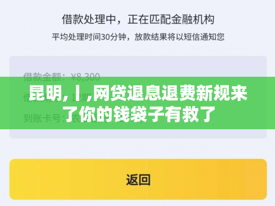 昆明,丨,网贷退息退费新规来了你的钱袋子有救了