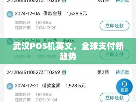 武汉POS机英文，全球支付新趋势