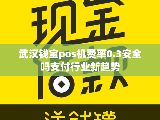 武汉钱宝pos机费率0.3安全吗支付行业新趋势