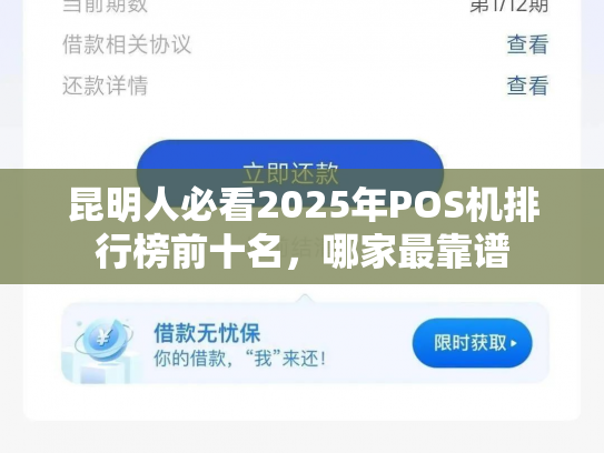 昆明人必看2025年POS机排行榜前十名，哪家最靠谱