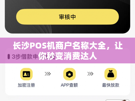 长沙POS机商户名称大全，让你秒变消费达人