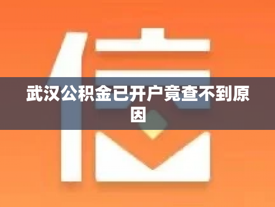 武汉公积金已开户竟查不到原因