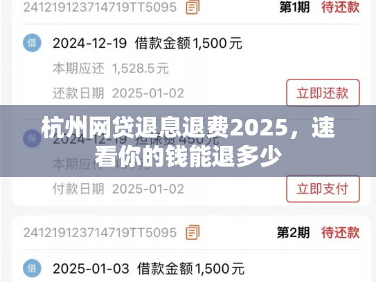 杭州网贷退息退费2025，速看你的钱能退多少