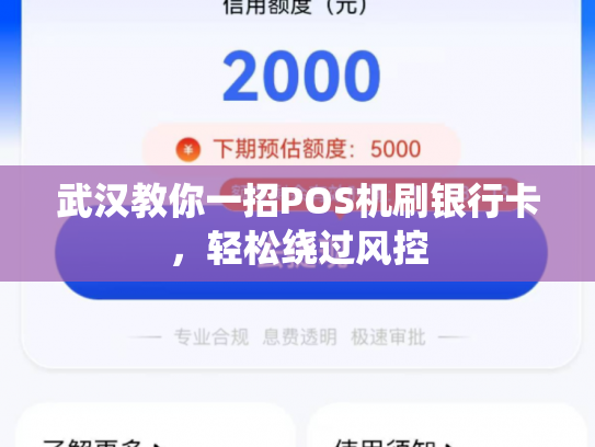 武汉教你一招POS机刷银行卡，轻松绕过风控