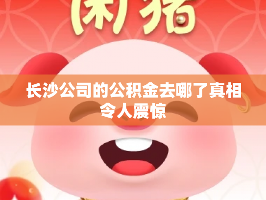 长沙公司的公积金去哪了真相令人震惊