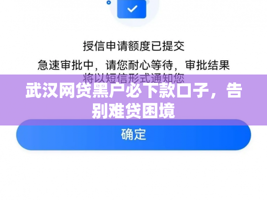武汉网贷黑户必下款口子，告别难贷困境