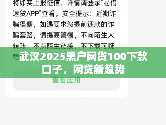 武汉2025黑户网贷100下款口子，网贷新趋势