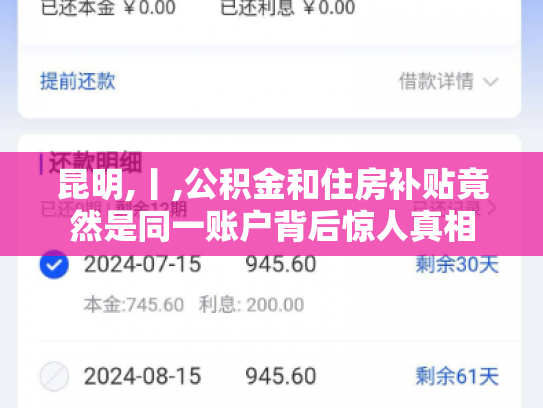 昆明,丨,公积金和住房补贴竟然是同一账户背后惊人真相