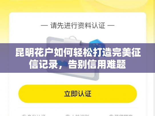 昆明花户如何轻松打造完美征信记录，告别信用难题