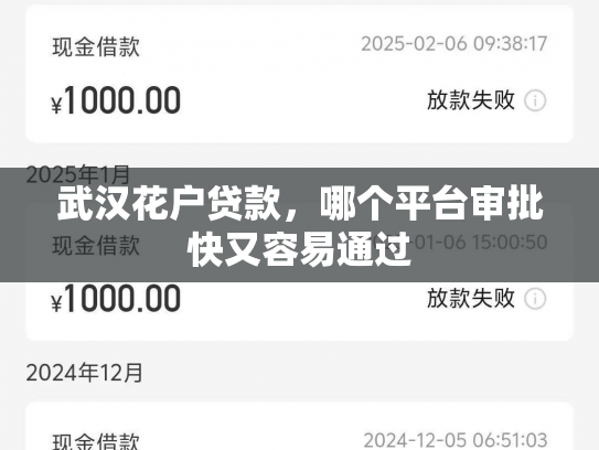 武汉花户贷款，哪个平台审批快又容易通过