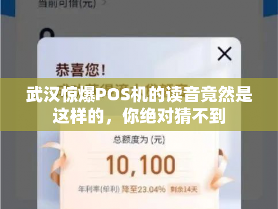 武汉惊爆POS机的读音竟然是这样的，你绝对猜不到