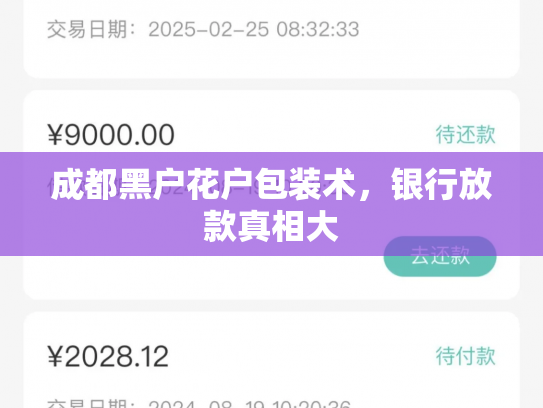 成都黑户花户包装术，银行放款真相大