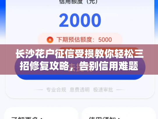 长沙花户征信受损教你轻松三招修复攻略，告别信用难题