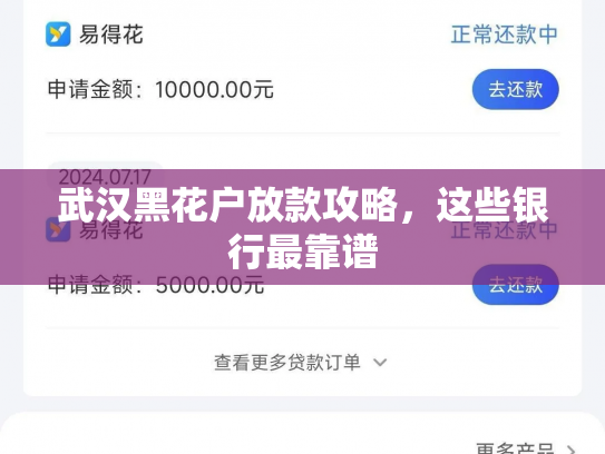 武汉黑花户放款攻略，这些银行最靠谱