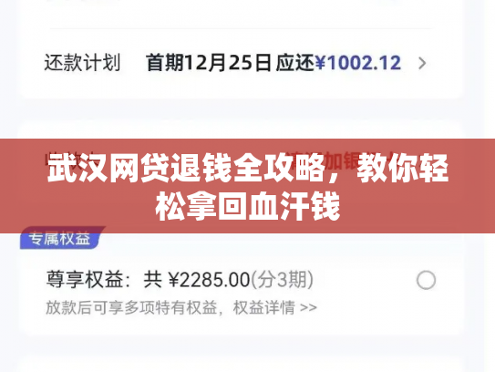 武汉网贷退钱全攻略，教你轻松拿回血汗钱