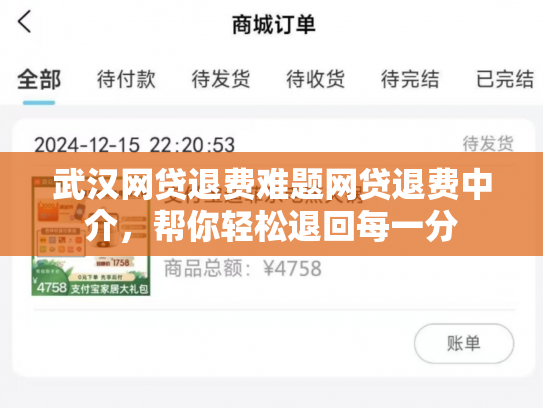 武汉网贷退费难题网贷退费中介，帮你轻松退回每一分