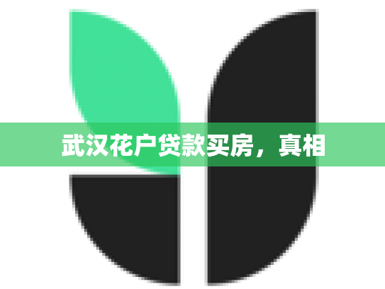 武汉花户贷款买房，真相